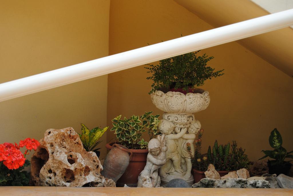 Hotel Bamar Pinarella Dış mekan fotoğraf